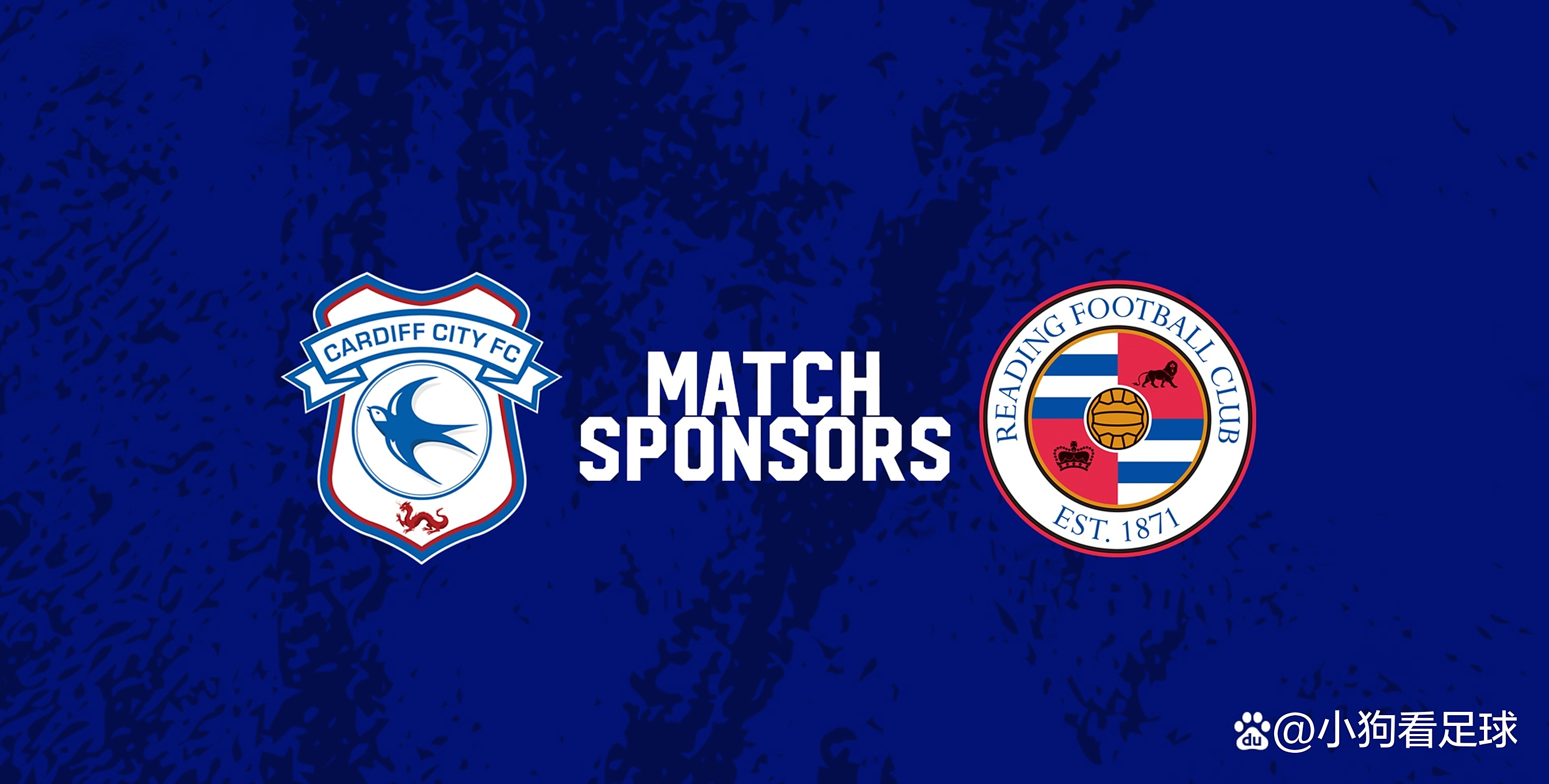 卡迪夫城在联赛中展现出色实力