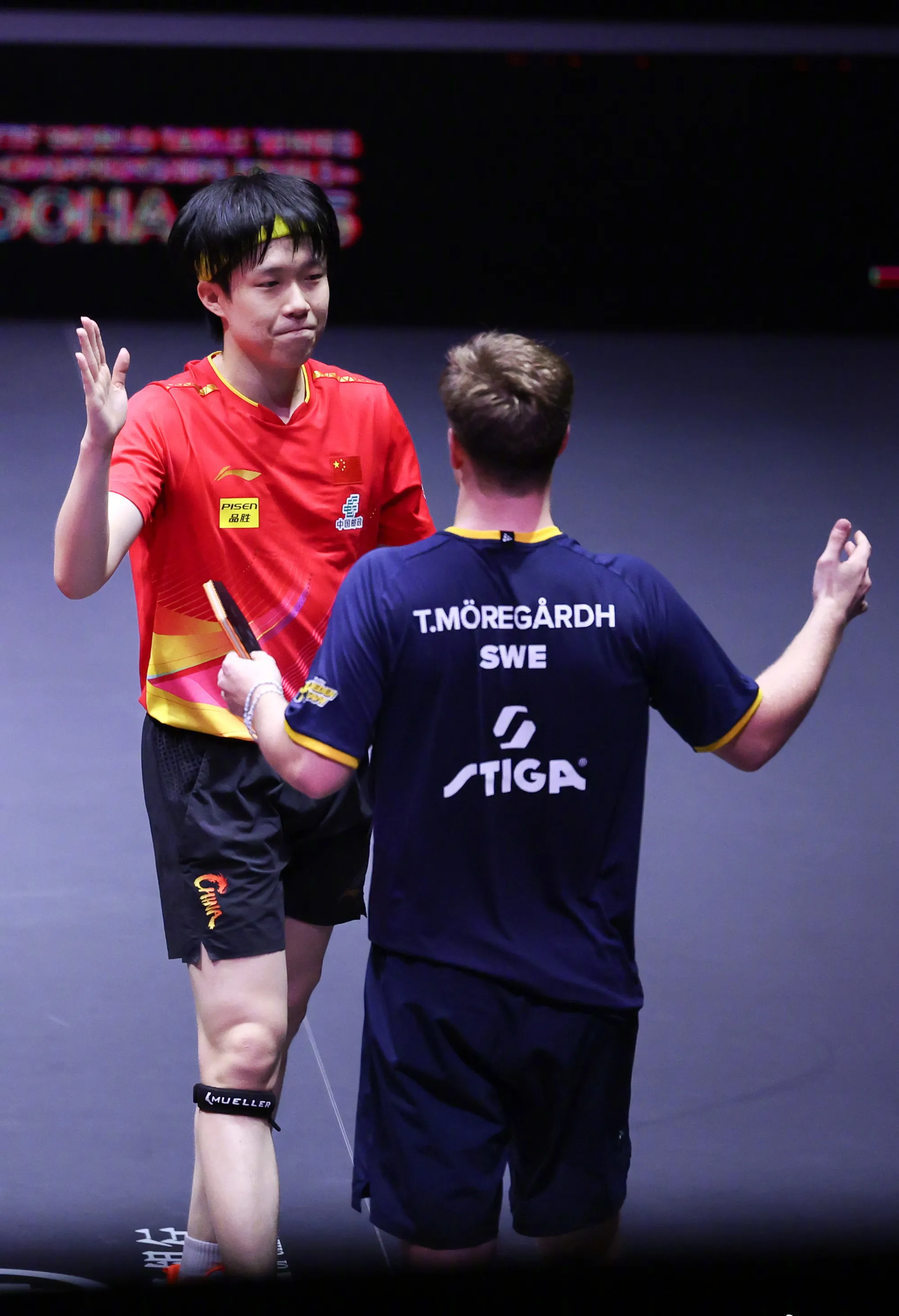 奥地利队绝杀葡萄牙队，林高远惊艳四座的简单介绍